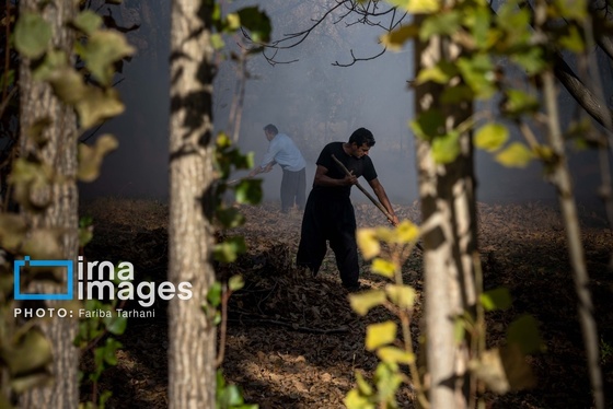 ایران زیباست | طبیعت پاییزی الشتر