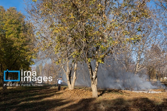 ایران زیباست | طبیعت پاییزی الشتر
