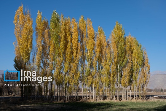 ایران زیباست | طبیعت پاییزی الشتر