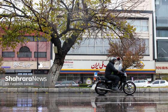 گزارش تصویری | بارش نخستین برف پاییزی در مشهد