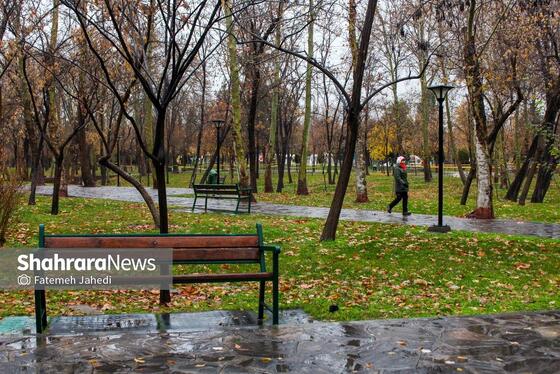 گزارش تصویری | بارش نخستین برف پاییزی در مشهد