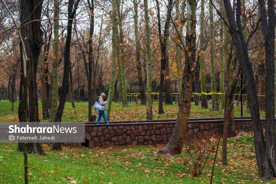 گزارش تصویری | بارش نخستین برف پاییزی در مشهد