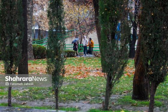 گزارش تصویری | بارش نخستین برف پاییزی در مشهد