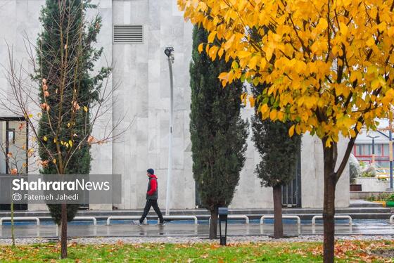 گزارش تصویری | بارش نخستین برف پاییزی در مشهد