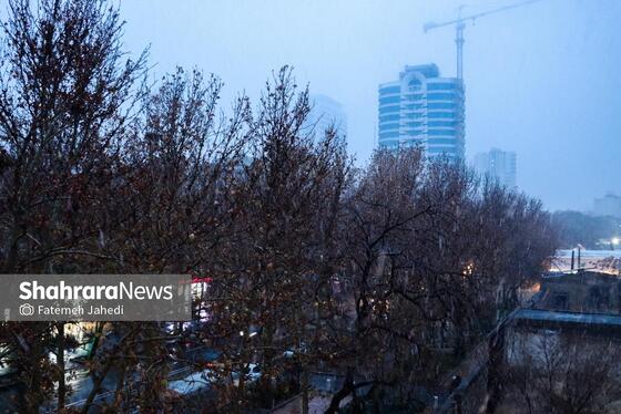 گزارش تصویری | بارش نخستین برف پاییزی در مشهد