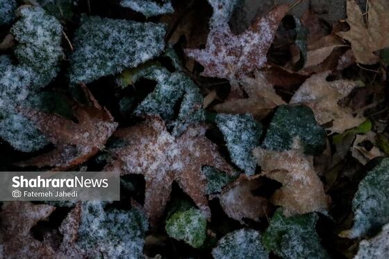 گزارش تصویری | بارش نخستین برف پاییزی در مشهد