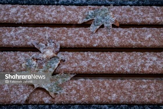 گزارش تصویری | بارش نخستین برف پاییزی در مشهد