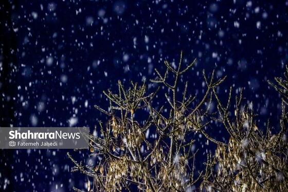 گزارش تصویری | بارش نخستین برف پاییزی در مشهد