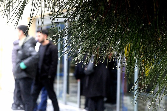 گزارش تصویری | بارش نخستین برف پاییزی در مشهد 2