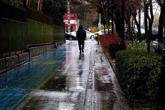 گزارش تصویری | بارش نخستین برف پاییزی در مشهد 2