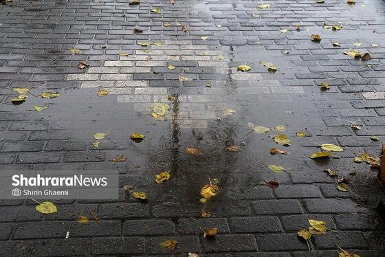 گزارش تصویری | بارش نخستین برف پاییزی در مشهد 2