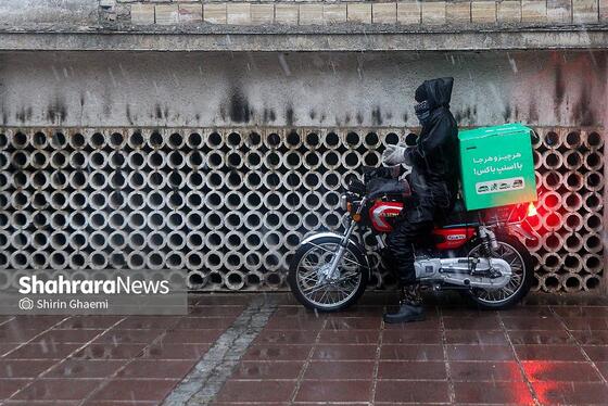 گزارش تصویری | بارش نخستین برف پاییزی در مشهد 2