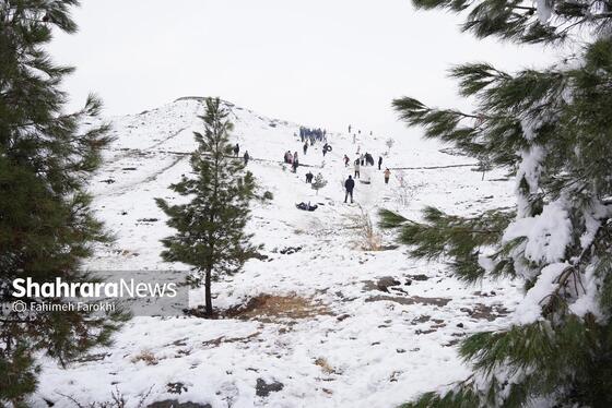 گزارش تصویری | حال و هوای مردم در اولین بارش برف پاییزی