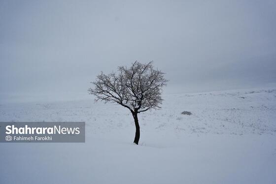 گزارش تصویری | حال و هوای مردم در اولین بارش برف پاییزی