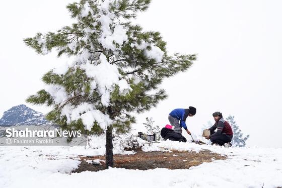 گزارش تصویری | حال و هوای مردم در اولین بارش برف پاییزی