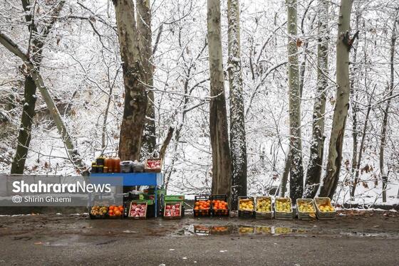 گزارش تصویری | شادی مردم مشهد از بارش برف پاییزی
