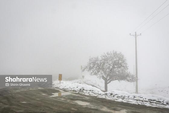 گزارش تصویری | شادی مردم مشهد از بارش برف پاییزی