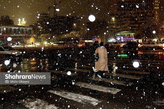 گزارش تصویری | حبس برف