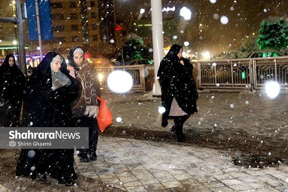 گزارش تصویری | حبس برف