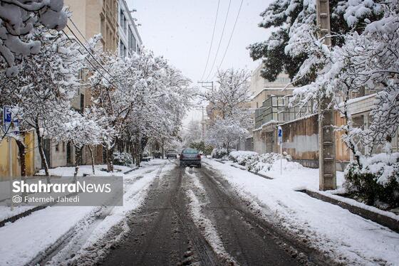 گزارش تصویری |بارش برف پاییزی در مشهد