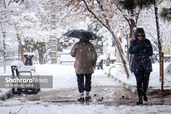 گزارش تصویری |بارش برف پاییزی در مشهد