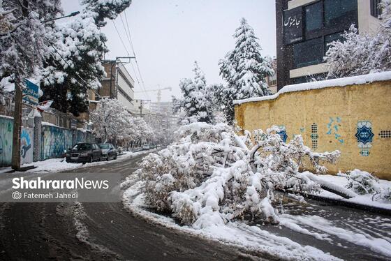گزارش تصویری |بارش برف پاییزی در مشهد