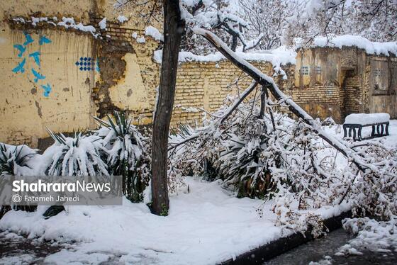 گزارش تصویری |بارش برف پاییزی در مشهد