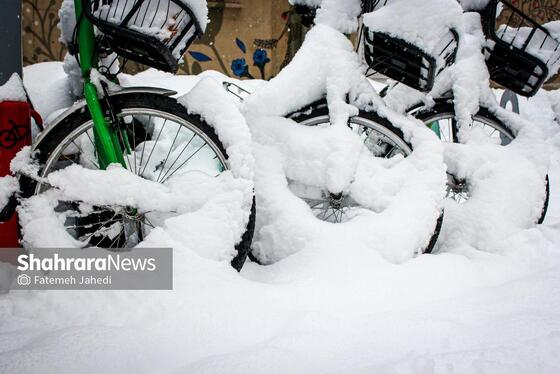 گزارش تصویری |بارش برف پاییزی در مشهد