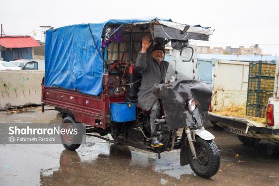 گزارش تصویری | بازار میوه در شب یلدا