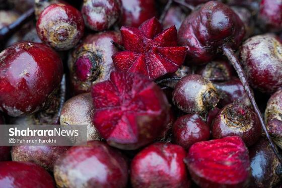 گزارش تصویری | بازار میوه در شب یلدا
