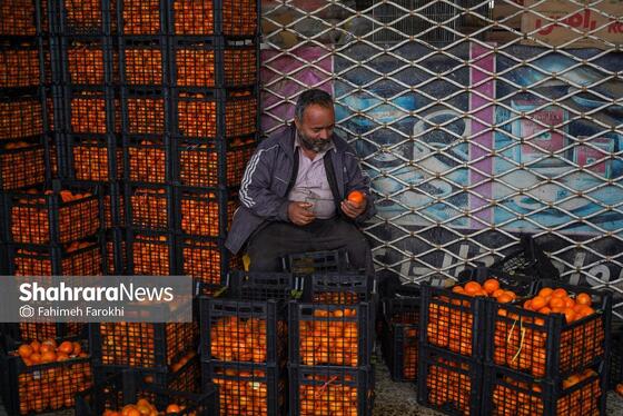 گزارش تصویری | بازار میوه در شب یلدا