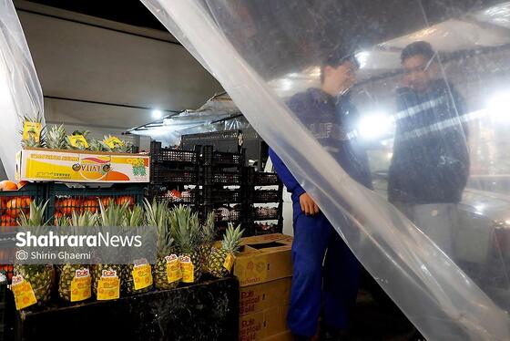 گزارش تصویری | بازار شب یلدا در مشهد