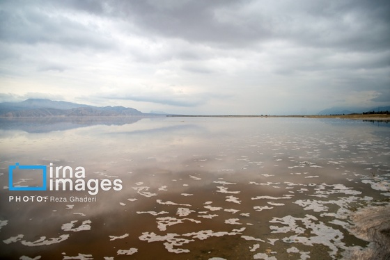 ایران زیباست | فلامینگوها به دریاچه مهارلو بازگشتند