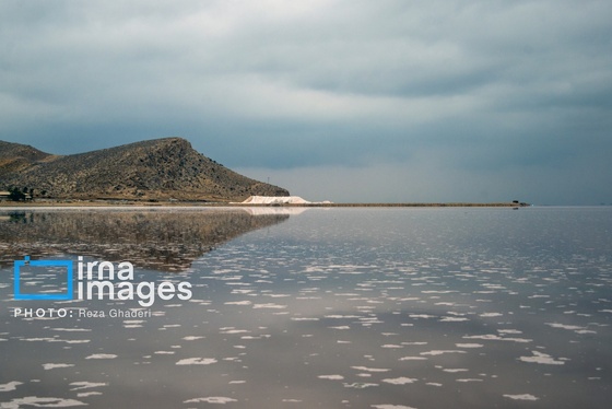 ایران زیباست | فلامینگوها به دریاچه مهارلو بازگشتند