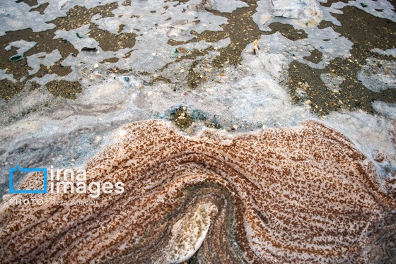 ایران زیباست | فلامینگوها به دریاچه مهارلو بازگشتند