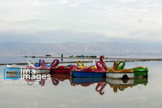 ایران زیباست | فلامینگوها به دریاچه مهارلو بازگشتند