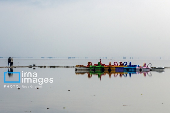 ایران زیباست | فلامینگوها به دریاچه مهارلو بازگشتند