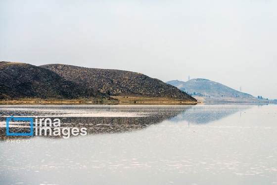 ایران زیباست | فلامینگوها به دریاچه مهارلو بازگشتند