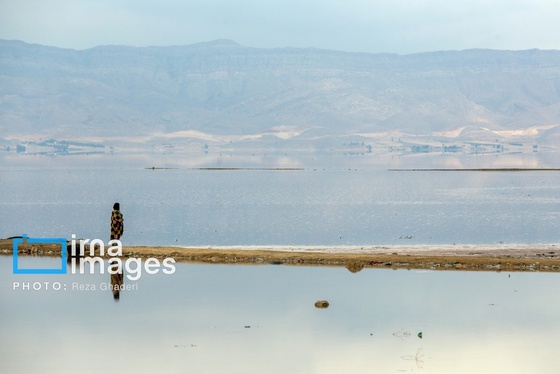 ایران زیباست | فلامینگوها به دریاچه مهارلو بازگشتند
