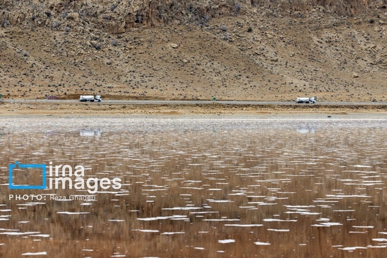 ایران زیباست | فلامینگوها به دریاچه مهارلو بازگشتند