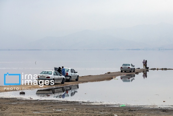 ایران زیباست | فلامینگوها به دریاچه مهارلو بازگشتند