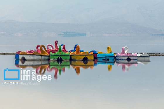 ایران زیباست | فلامینگوها به دریاچه مهارلو بازگشتند