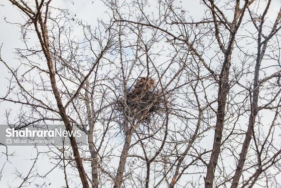 گزارش تصویری | آیین افتتاح پانزدهمین بوستان بانوان شهر مشهد بانام شهربانوی صبا