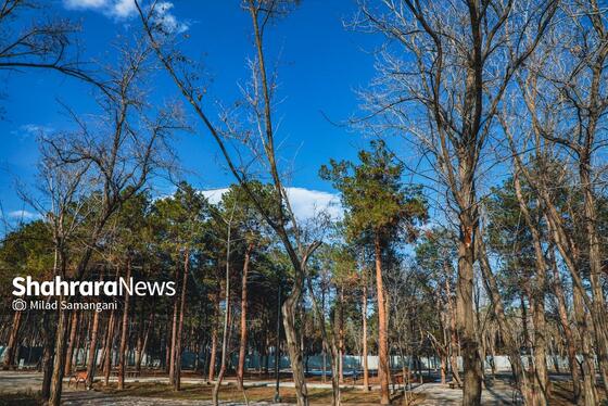 گزارش تصویری | آیین افتتاح پانزدهمین بوستان بانوان شهر مشهد بانام شهربانوی صبا