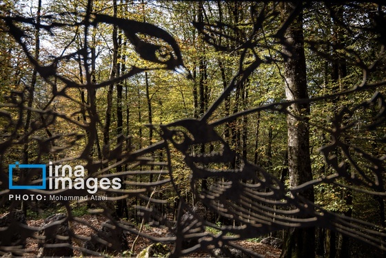 ایران زیباست | مجموعه تفریحی نمک‌آبرود