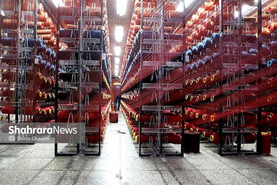 گزارش تصویری | از نخ تا فرش ، نگاهی به فرآیند تولید فرش ماشینی در مشهد