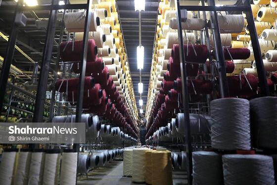 گزارش تصویری | از نخ تا فرش ، نگاهی به فرآیند تولید فرش ماشینی در مشهد