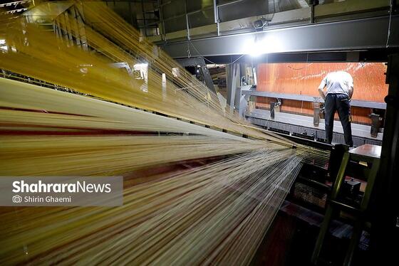 گزارش تصویری | از نخ تا فرش ، نگاهی به فرآیند تولید فرش ماشینی در مشهد
