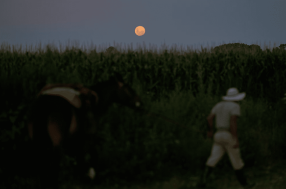 ابرماه زمستانی یا «ماه گرگ» آسمان شب جهان را روشن کرد + عکس
