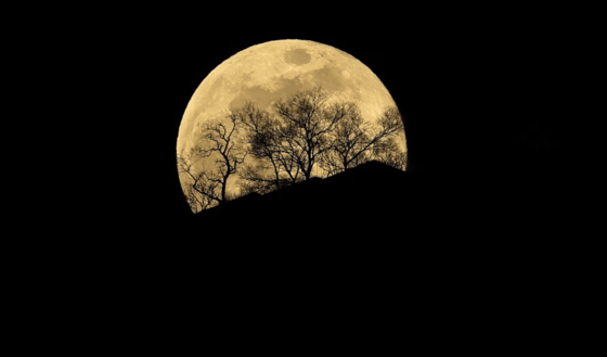 ابرماه زمستانی یا «ماه گرگ» آسمان شب جهان را روشن کرد + عکس